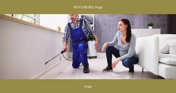 PEST CONTROL Hugo